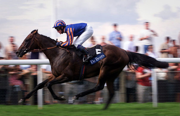 Mick Kinane Life: Mick Kinane and Montjeu stretch away for an easy victory at Ascot