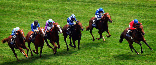 Mick Kinane Life: The EBF Crocker Bulteel Maiden Stakes