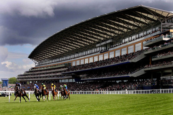 Mick Kinane Life: Yeats ridden by Mick Kinane on his way to winning the 2007 Gold Cup