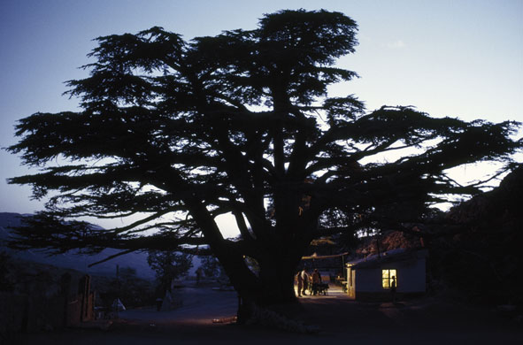 100 places: Mount al-Makmal, Lebanon