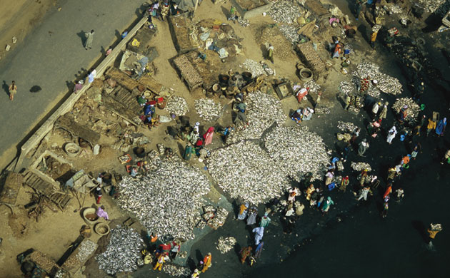 100 places: Saint-Louis, Senegal