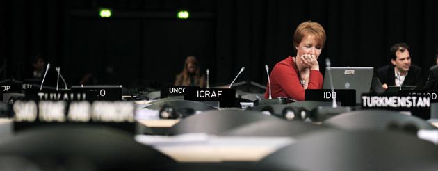 Copenhagen diary: COP15 A delegate representing IDB (Inter-American Development Bank