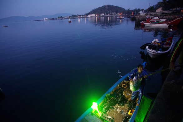 Gallery 24 hours in pictures: An Acehnese fisherman unloads his catch at Sabang fishing port.