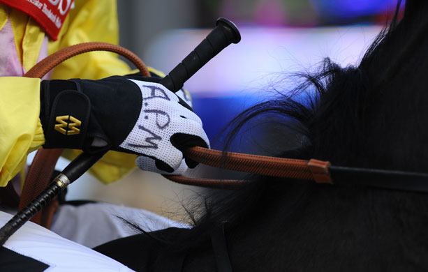 Gallery 24sport: Tony McCoy