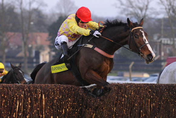 Gallery 24sport: Tony McCoy