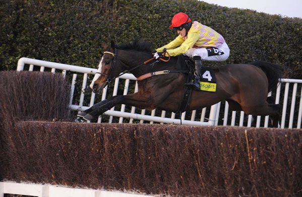 Gallery 24sport: Tony McCoy