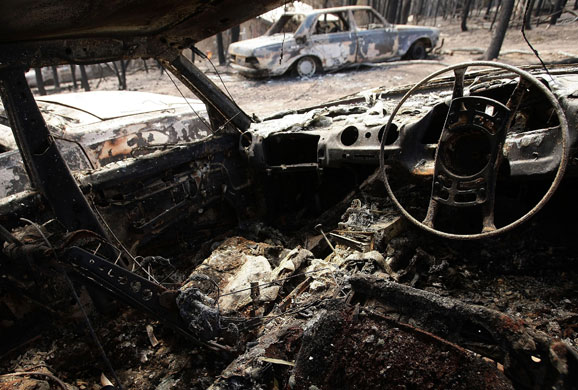 Wildfires in Australia: Wildfires in Australia