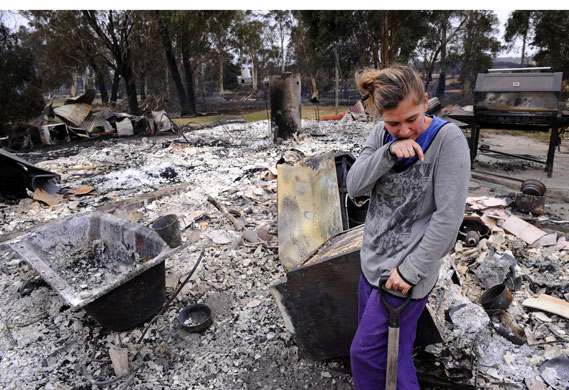 Wildfires in Australia: Wildfires in Australia