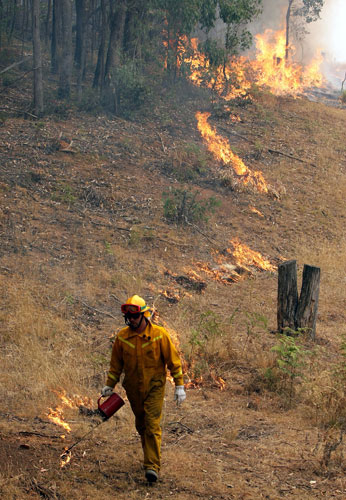 Wildfires in Australia: Wildfires in Australia