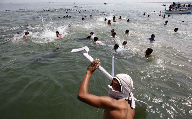 Dolphins beaches: At least 100 dolphins are stranded in shallow water near Manila