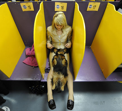 Dogshow extra: Westminster Kennel Club dog show in New York