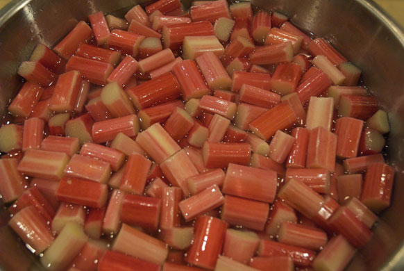 Rhubarb bottling: Pour the syrup over the rhubarb and allow to soak overnight