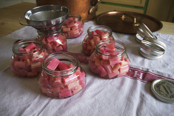 Rhubarb bottling: Use a slotted spoon to lift the rhubarb out of the syrup
