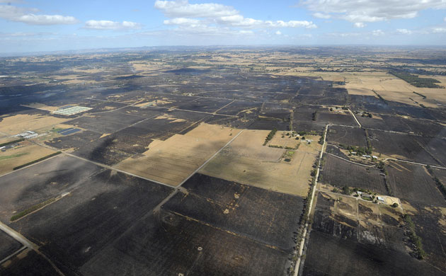 Scorched farmland shows the extent of the wildfires which destroyed houses and farms in the Bunyip regions of Gippsland, east of Melbourne, 12 Feb 2009. Photograph: Paul Crock / AFP / Getty Images