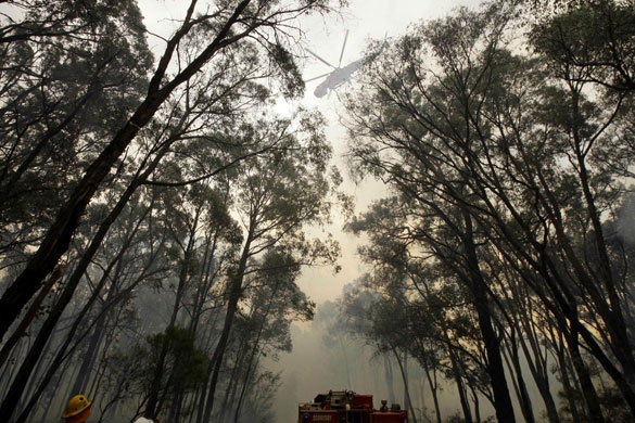 Australia fire aftermaths: A water bombing helicopter flys over a fire at Chum Creek