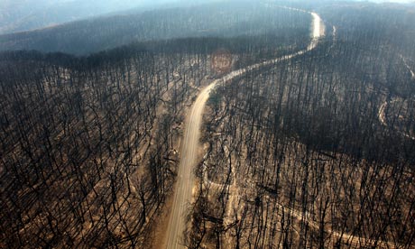 Australian Bushfires