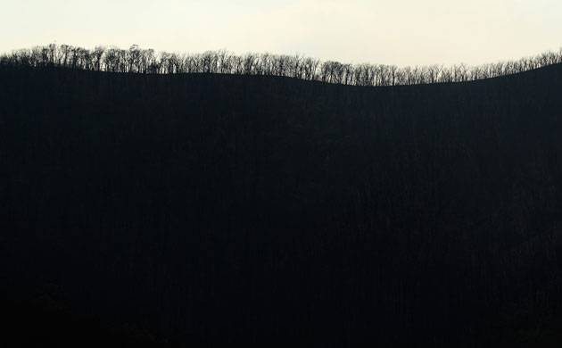 australia wilfire: Death Toll Nears 200 As Bushfires Continue To Blaze Through Victoria