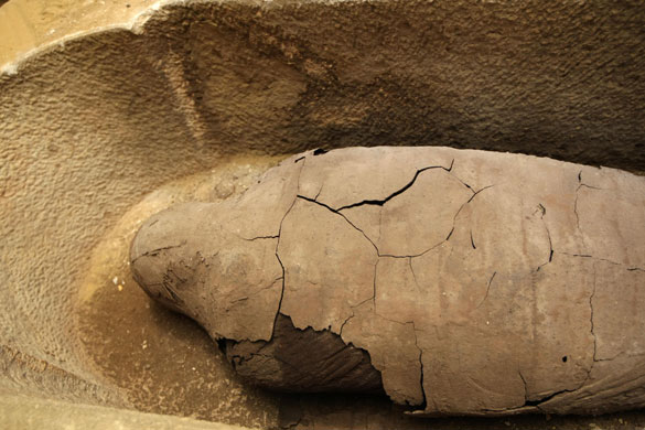 Mummies found in Egypt: 30 Mummies have been found in Saqqara necropolis, south of Cairo, Egypt