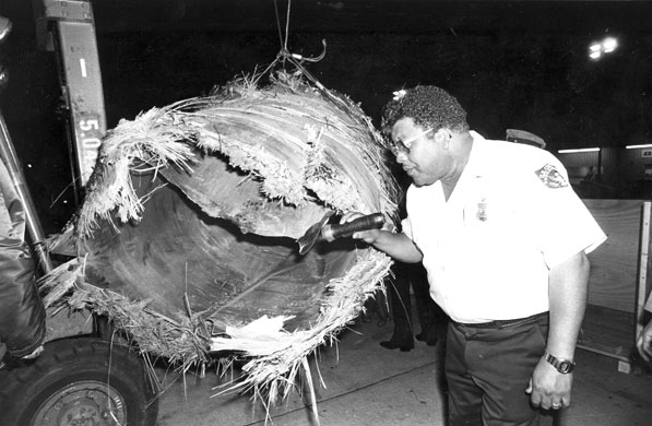 Space debris: Wreckage from the downed Skylab.