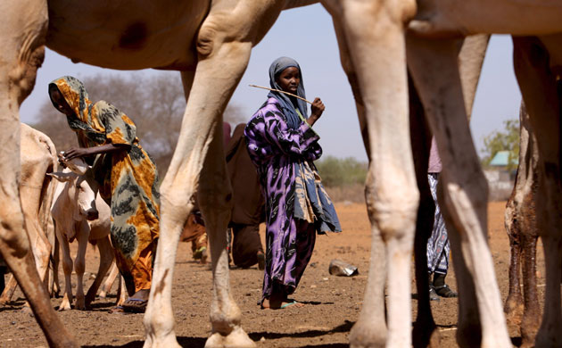 Severe drought : Severe drought in Kenya