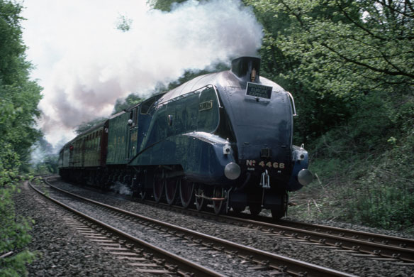 High speed trains: The Mallard, the fastest steam locomotive in the world in motion.