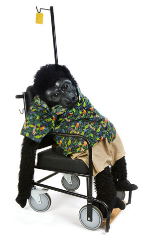 Take 10: Lost Property: A toy ape