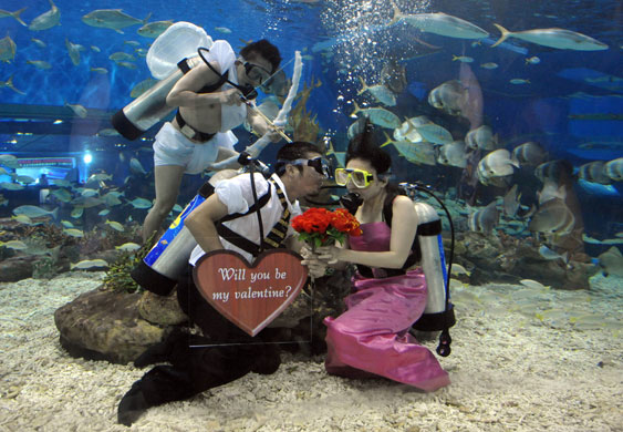 Valentine's Day Gallery: Valentine's Day