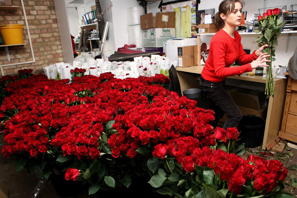 Valentine's Day Gallery: Valentine's Day