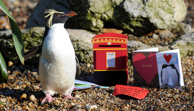 Valentine's Day Gallery: Valentine's Day