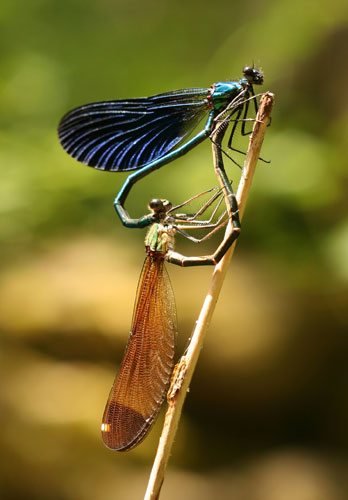 In pictures: Kiss: Victoria Hinton