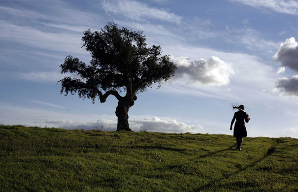 24 hours in pictures: Augusta Guerreiro, 72, walks on the hills in Alentejo, Portugal.