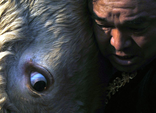 24 hours in pictures: Chinese bullfighting