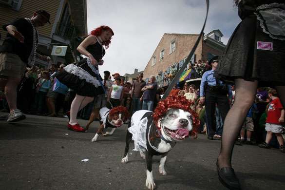24 hours in pictures: Mardi Gras parade in New Orleans