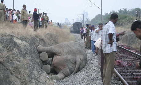 Train+accident+in+india