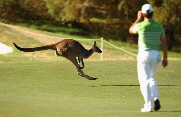 24 Sport: Mobile golf hazzards in Perth