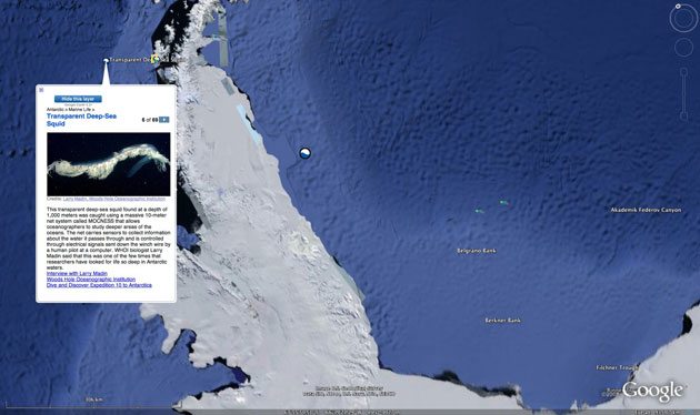 Gallery Google earth: Antarctica, with 'Explore the Ocean' layer