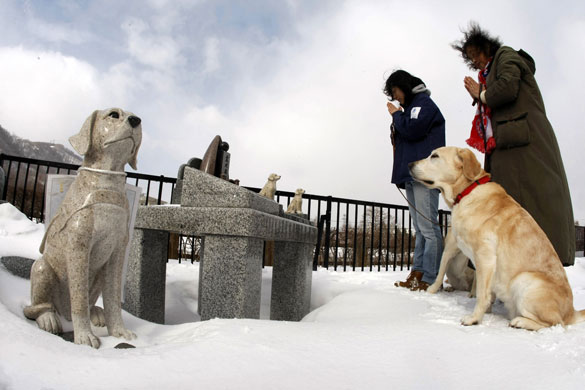 Gallery 24 hours in pictures: Women pray at a tomb for dead guide dogs in Japan