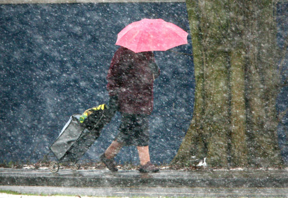Gallery Snow update: Diss, Norfolk: An elderly shopper walks in a snow shower.