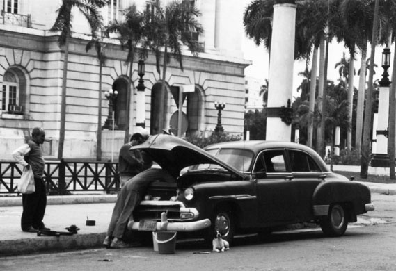 In Pictures: Surveillance: Russell Dennis