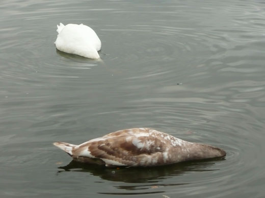 In Pictures: Surveillance: Jennymay Logan 