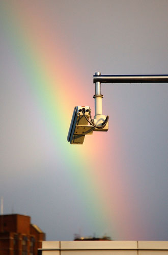 In Pictures: Surveillance: Patrick Dodds