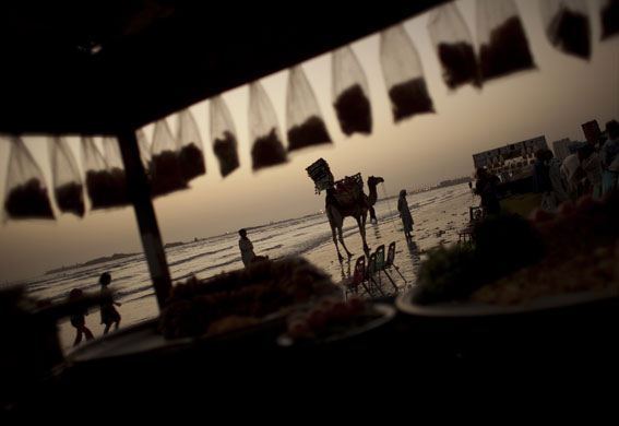 20 February 2009: Karachi, Pakistan: A man waits for customers for a camel ride