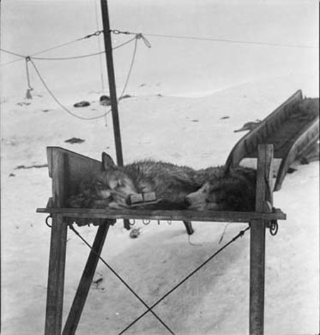 Captain Scott South Pole: Captain Scott South Pole