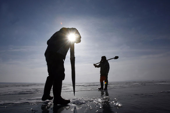 23 February 2009: China: Fishermen dig a hole in the frozen surface of Ulungur lake