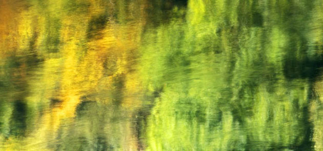 William A. Bolton: Visions of the Natural World: Reflections River Wye