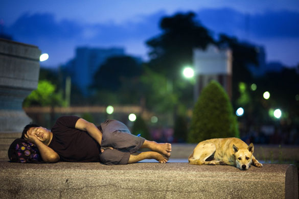 24 hours in pictures: A  man and his dog sleep in Bangkok, Thailand