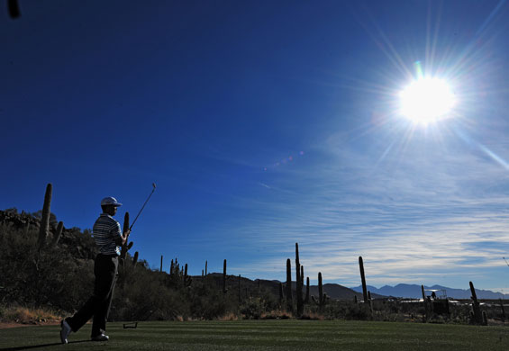 24sport: Tiger Woods is back