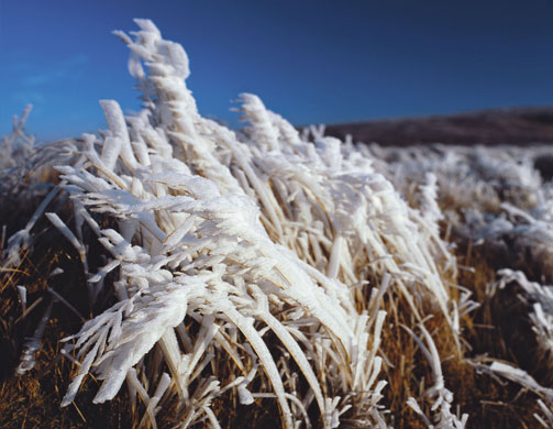 Pendle by Alaistair Lee: Pendle : Landscape of history and home