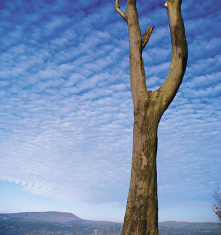 Pendle by Alaistair Lee: Pendle : Landscape of history and home