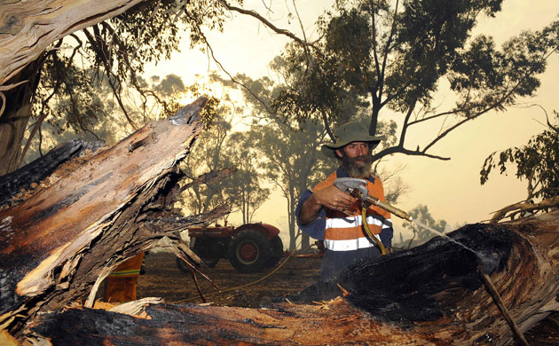 Week in wildlife: Wildfire at Belgrave Heights 35 km southeast of Melbourne